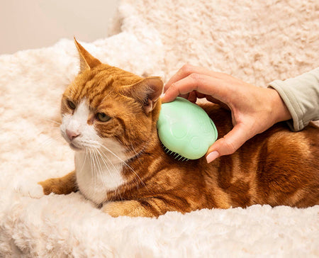 Pet Inspiration