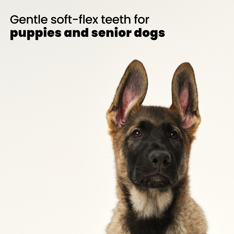 Puppy Brush