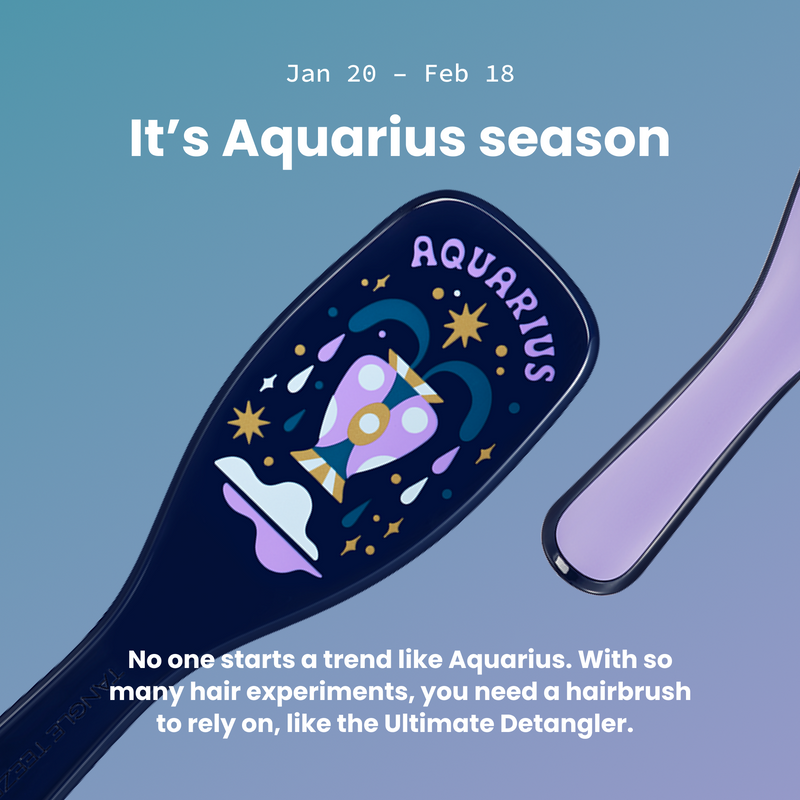 The Ultimate Detangler Zodiac