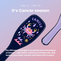 The Ultimate Detangler Zodiac