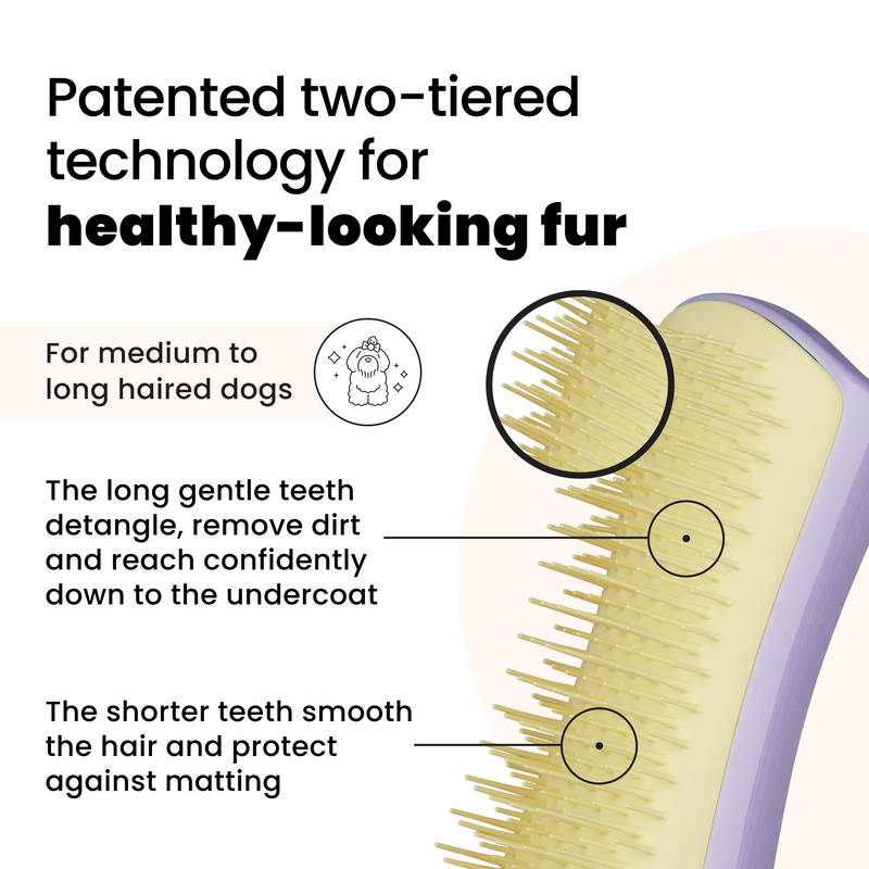 Detangling Dog Grooming Brush