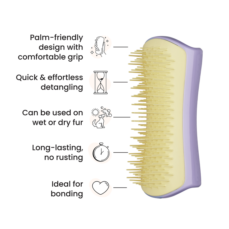 Detangling Dog Grooming Brush