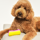 Detangling Dog Grooming Brush