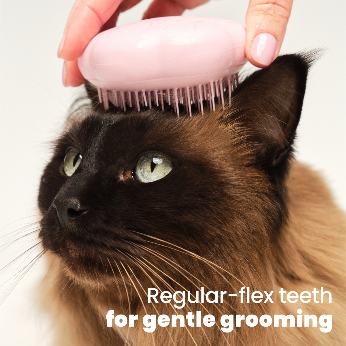 Cat Grooming Brush | Tangle Teezer