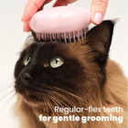 Cat Grooming Brush