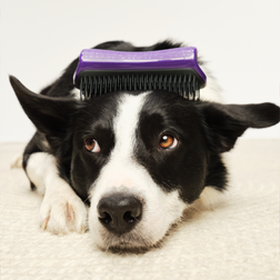 De-shedding Dog Grooming Brush
