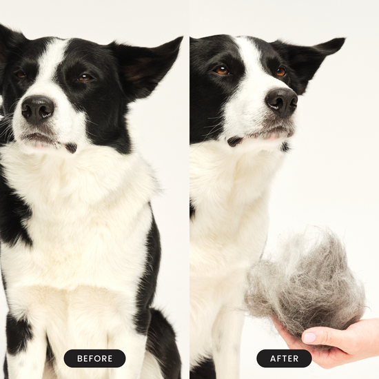 De-shedding Dog Grooming Brush