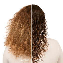 Everyday Detangling Spray Shea Butter