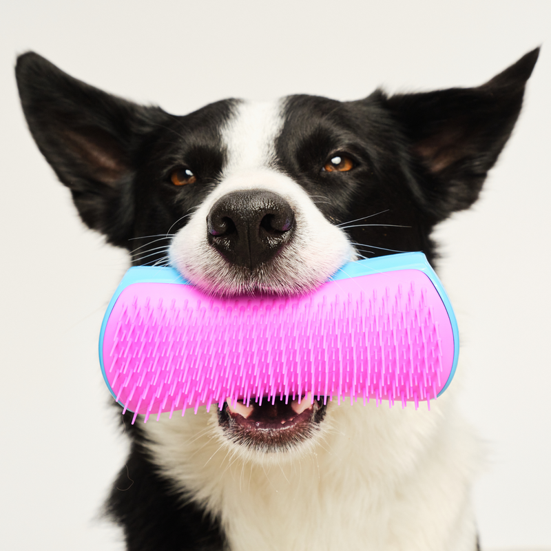 The De-shedding Pet Teezer Duo