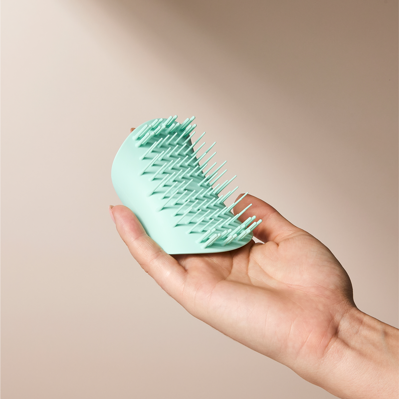 Ultimate Fine or Fragile Bundle